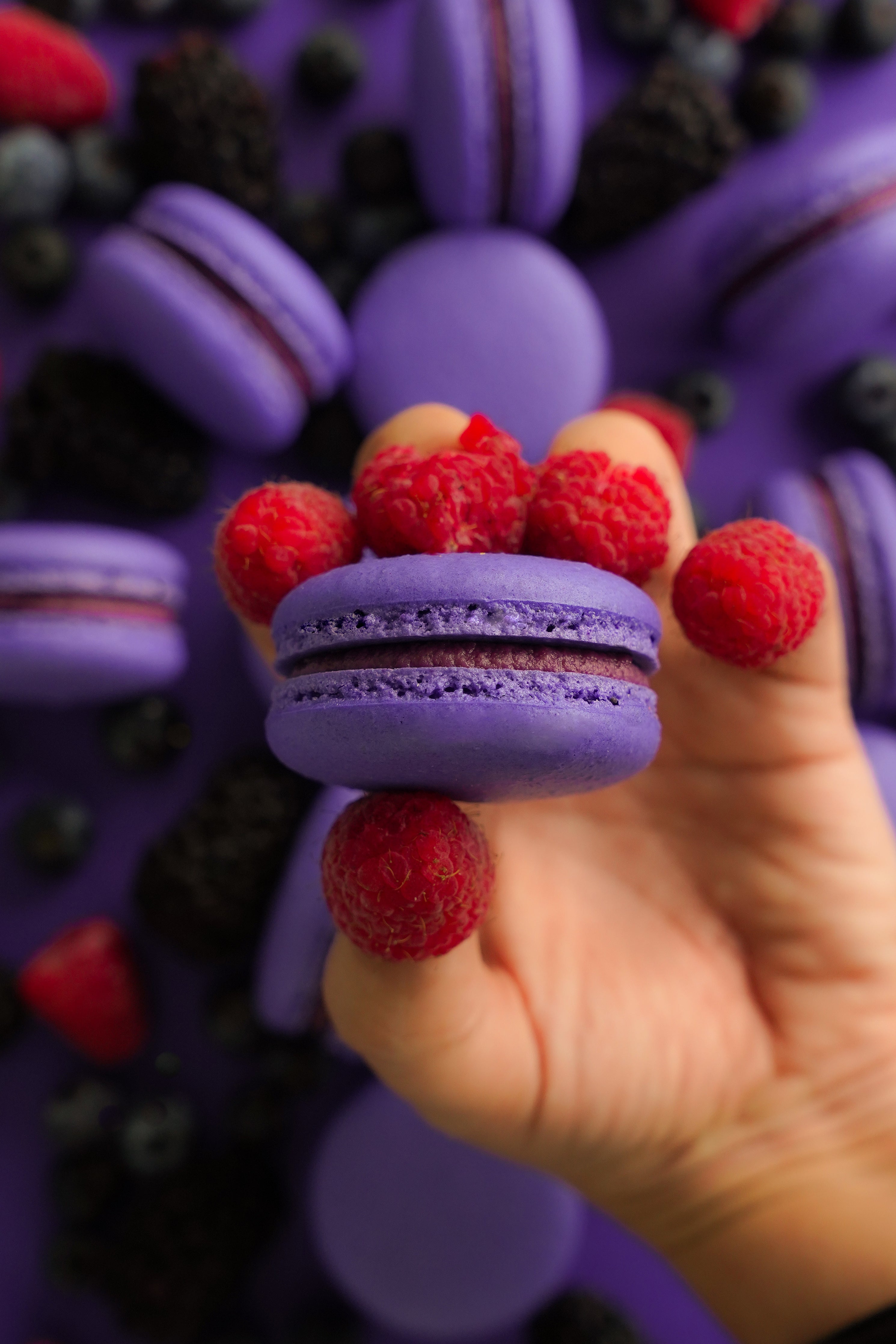 macaron with berry filling